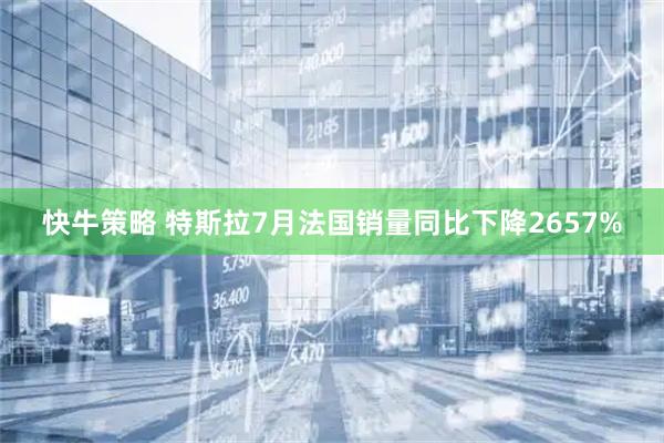 快牛策略 特斯拉7月法国销量同比下降2657%