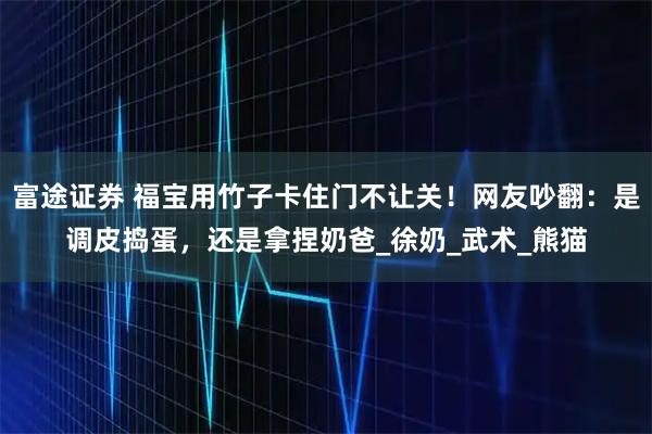 富途证券 福宝用竹子卡住门不让关！网友吵翻：是调皮捣蛋，还是拿捏奶爸_徐奶_武术_熊猫